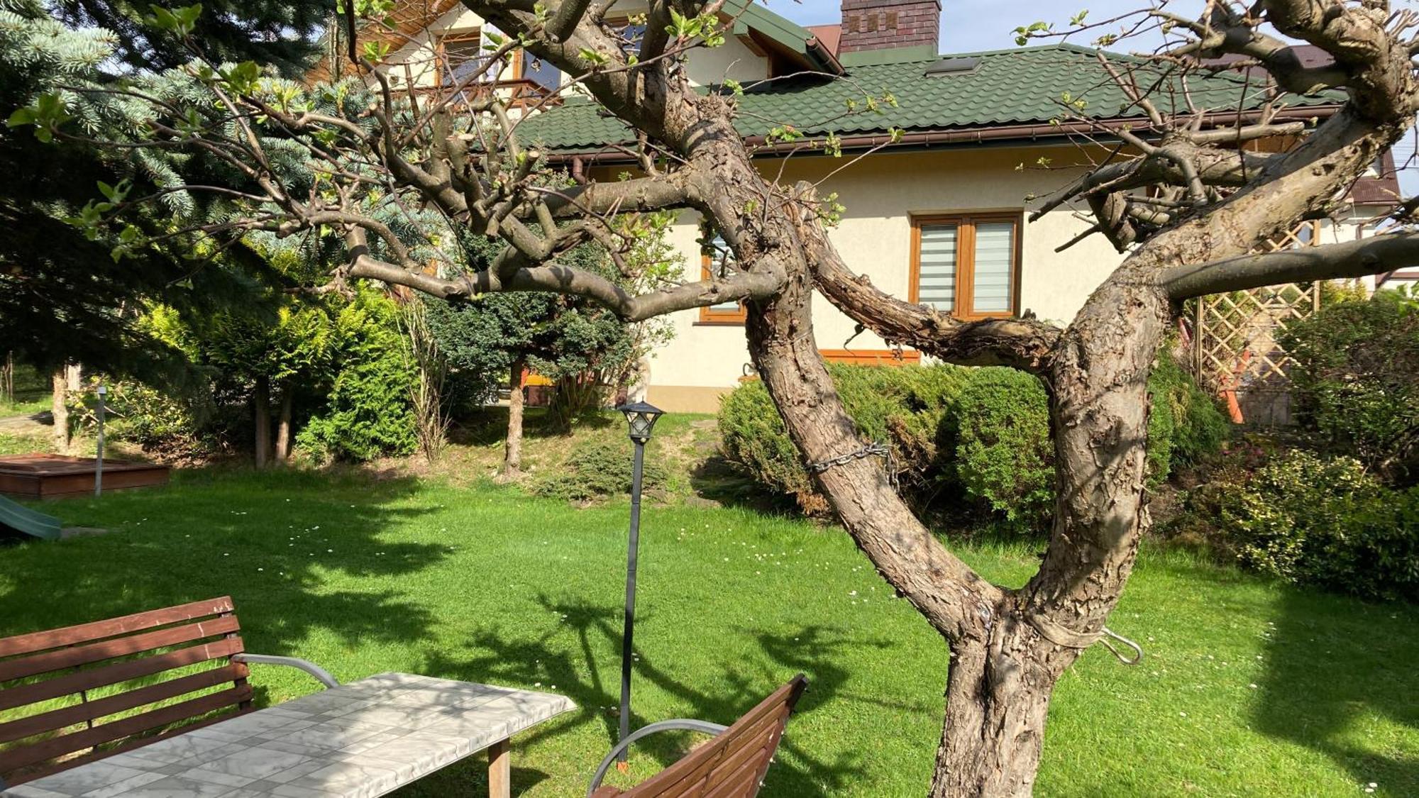 Apartamenty-Studio Noclegi Wczasy Wakacje Ferie - Pobyty Rodzinne Рабка Екстериор снимка